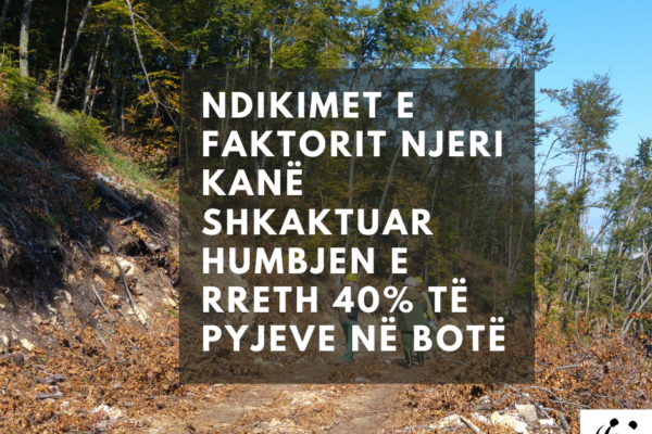 Bita Boterore e Pyjeve - 21 mars 2021 - Foto 1