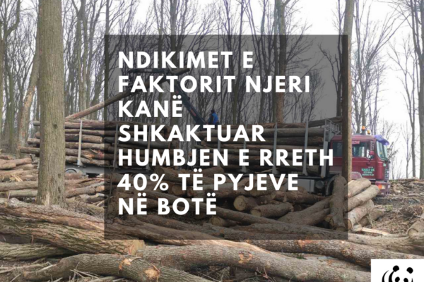 Bita Boterore e Pyjeve - 21 mars 2021 - Foto 2