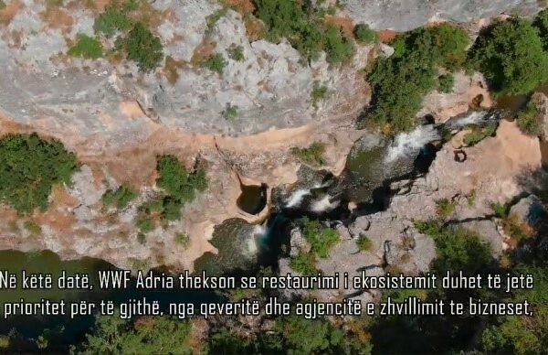 On the World Environment Day 1