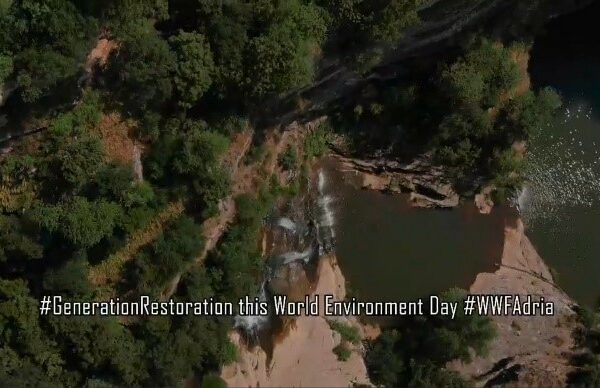 On the World Environment Day 2