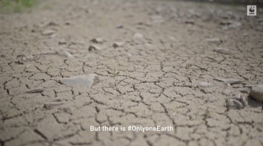 framework of the Kosovo Sustainable Development Week 4 - Video launched