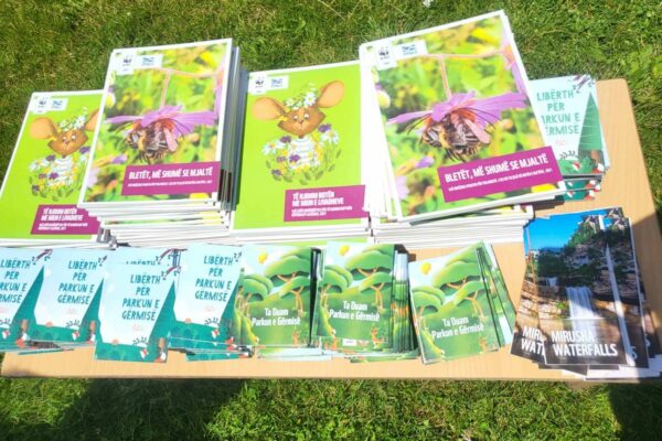 467973987_122119221692408120_33222333339063688_n