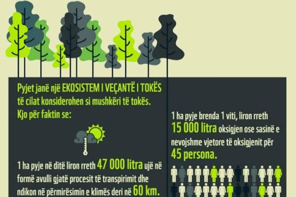 511315653_10163245471835126_2643347933091389933_n