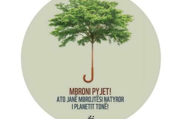 514016047_10163245471800126_6269418237215242148_n