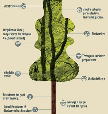 514317445_10163245471555126_6640824815962435871_n