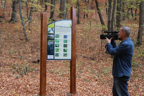 75362205_10157768224280126_2418213814831939584_n