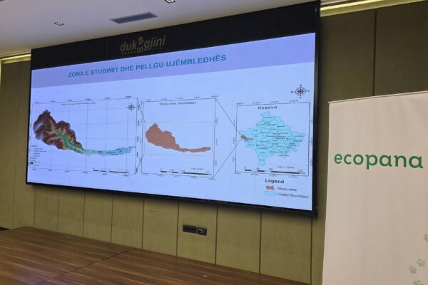 618517100_122158292390408120_4790275430074331403_n