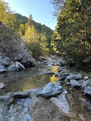 viber_image_2026-01-29_21-43-41-108