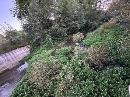 viber_image_2026-01-29_21-43-42-095