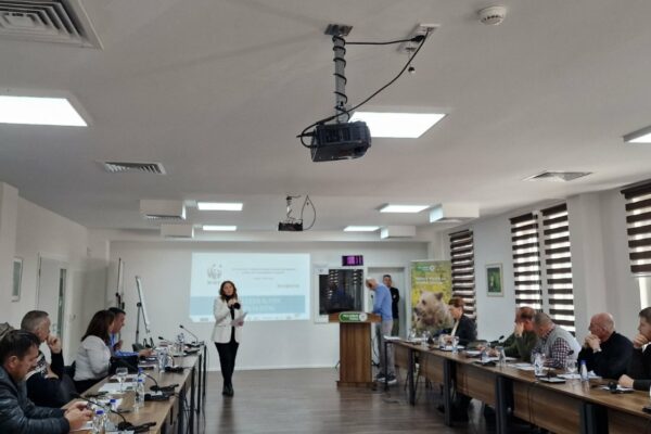 0-02-05-3a4481f2ab95a45b1c48f7b4f38a978b8c595d10a44e21a0184dfd23c0e1f8d0_21ce8b621d26aa20