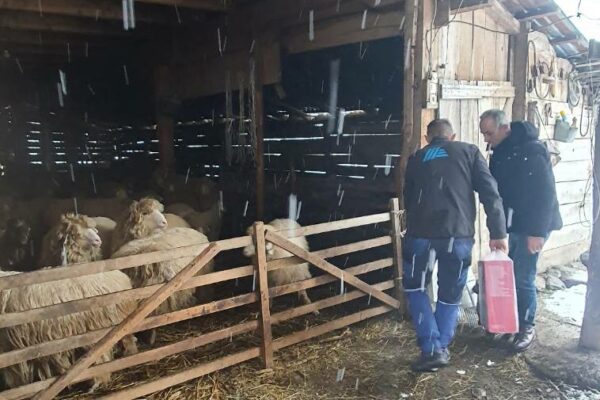 0-02-05-4ba7ffb10678ae845f4108e48c9cf91faa5e8a1782939ce25531c4f4b4fc7625_7854301fce48dbe9