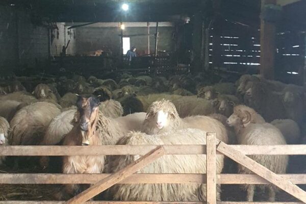 0-02-05-fce4fd098fa2d08b70d2684edca472e63acdcc6492ce0208f312d02c845088e9_3b87ce871a2ab6e4