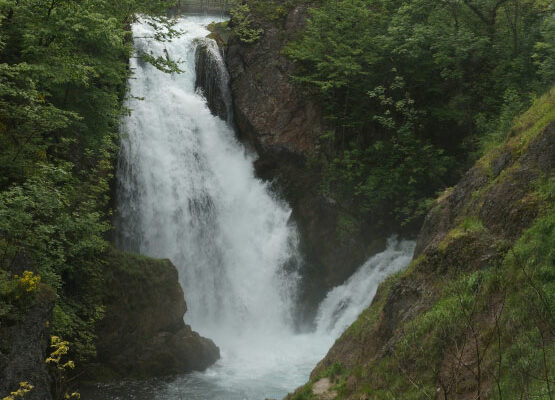 The spring of White Drin